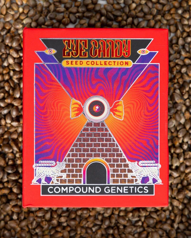 New Money, Фасовка: 13, изображение 2